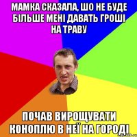 мамка сказала, шо не буде більше мені давать гроші на траву почав вирощувати коноплю в неї на городі