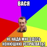 Вася Не нада мне здесь конюшню УСТРАЕВАТЬ!