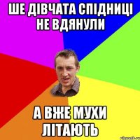 Ше дівчата спідниці не вдянули а вже мухи літають