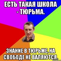 Есть такая школа - тюрьма. Знание в тюрьме, на свободе не валяются.