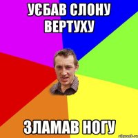 Уєбав слону вертуху зламав ногу