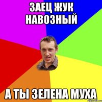 ЗАЕЦ ЖУК НАВОЗНЫЙ А ТЫ ЗЕЛЕНА МУХА