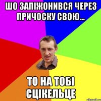 шо запіжонився через причоску свою... то на тобі сцікельце