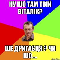 Ну шо там твій Віталік? Ше дригаєця ? чи шо....