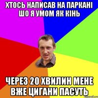 хтось написав на паркані шо я умом як кінь через 20 хвилин мене вже цигани пасуть