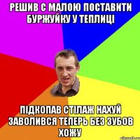 Решив с малою поставити буржуйку у теплицi пiдкопав стiлаж нахуй заволився теперь без зубов хожу