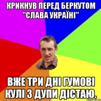 Крикнув перед беркутом "Слава Україні" Вже три дні гумові кулі з дупи дістаю.