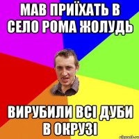 мав приїхать в село рома жолудь вирубили всі дуби в окрузі