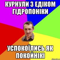 Курнули з едіком гідропоніки Успокоїлись як покойнікі