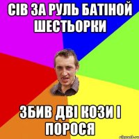 Сів за руль батіной шестьорки збив дві кози і порося