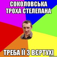 Соколовська троха стелепана треба її з вєртухі