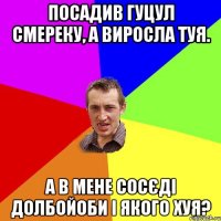 посадив гуцул смереку, а виросла туя. А в мене сосєді долбойоби і якого хуя?