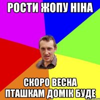 Рости жопу Ніна Скоро весна пташкам домік буде