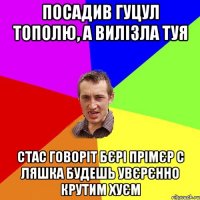 посадив гуцул тополю, а вилізла туя Стас говоріт бєрі прімєр с Ляшка будешь увєрєнно крутим хуєм