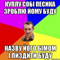 куплу собі песика зроблю йому буду назву його бімом і пиздити буду