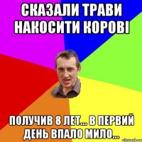 сказали трави накосити корові получив 8 лет... в первий день впало мило...