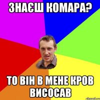 Знаєш Комара? то він в мене кров висосав