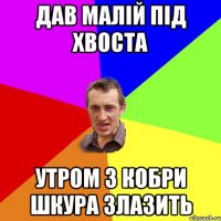 Дав малій під хвоста Утром з кобри шкура злазить