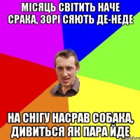 місяць світить наче срака, зорі сяють де-неде на снігу насрав собака, дивиться як пара йде