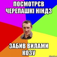 посмотрєв черепашкі ніндз забив вилами козу