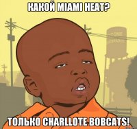 КАКОЙ MIAMI HEAT? ТОЛЬКО CHARLLOTE BOBCATS!