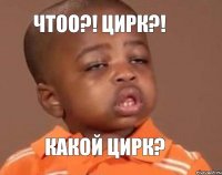 чтоо?! Цирк?! Какой цирк?