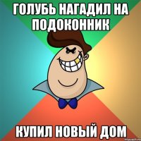 Голубь нагадил на подоконник купил новый дом