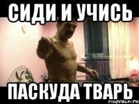 Сиди и учись Паскуда тварь