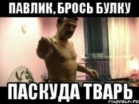 Павлик, Брось булку паскуда тварь