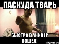 паскуда тварь быстро в универ пошел!