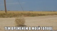  тем временем в моей голове