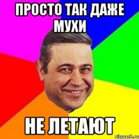 Просто так даже мухи НЕ ЛЕТАЮТ