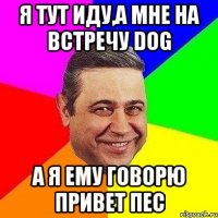 Я тут иду,а мне на встречу DOG А я ему говорю привет пес