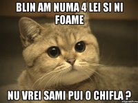 blin AM NUMA 4 LEI SI NI FOAME nu vrei sami pui o chifla ?