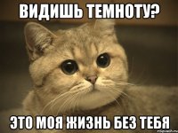 Видишь темноту? Это моя жизнь без тебя