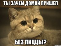 ты зачем домой пришел без пиццы?