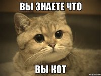 Вы знаете что вы кот