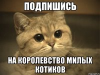 Подпишись на Королевство милых котиков