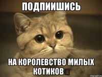 Подпиишись на Королевство милых котиковツ