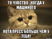 То чувство , когда у Машиного кота пресс больше чем у тебя!