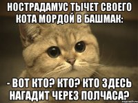 Нострадамус тычет своего кота мордой в башмак: - Вот кто? Кто? Кто здесь нагадит через полчаса?