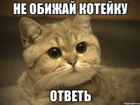 Не обижай котейку Ответь