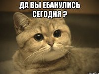 да вы ебанулись сегодня ? 