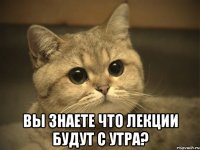  вы знаете что лекции будут с утра?