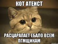 Кот атеист Расцарапает ебало всем ПГМщикам