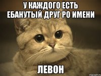 у каждого есть ебанутый друг ро имени левон