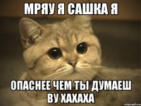 мряу я сашка я опаснее чем ты думаеш ву хахаха