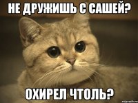 не дружишь с сашей? охирел чтоль?