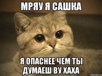 мряу я Сашка я опаснее чем ты думаеш ву хаха