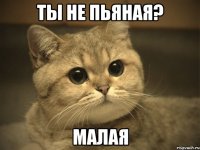 ты не пьяная? малая